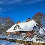 Ferienhaus Wildrose 1 Wyk auf Föhr