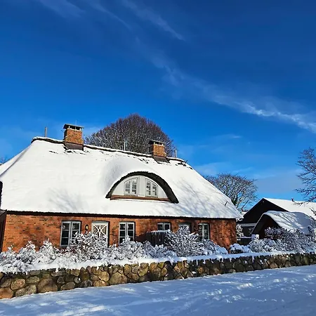 Wildrose 1 Wyk auf Föhr